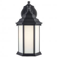 Trans Globe 4349 BK-FR - 1 LIGHT OUTDOOR LANTERN-WH FRO